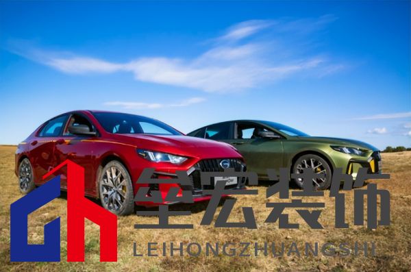 蘇神的夏日出游首選，中國影豹一路相伴