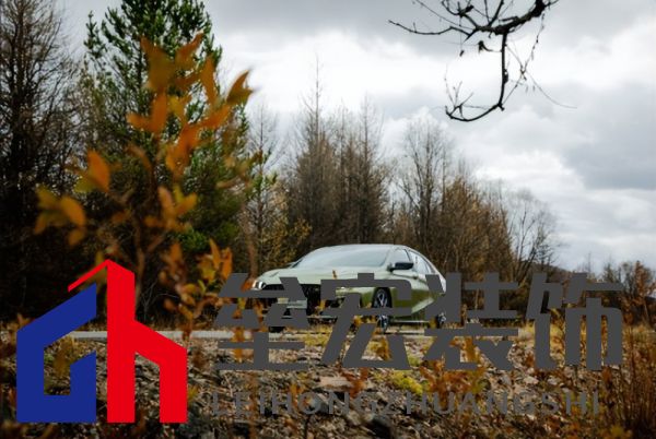 蘇神的夏日出游首選，中國影豹一路相伴