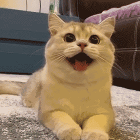 廈門 裝修 全包_廈門裝修全包一平方多少錢_廈門裝修全包套餐報(bào)價(jià)