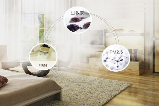 廈門(mén)除甲醛公司十大排名_廈門(mén)裝修除甲醛_廈門(mén)除甲醛