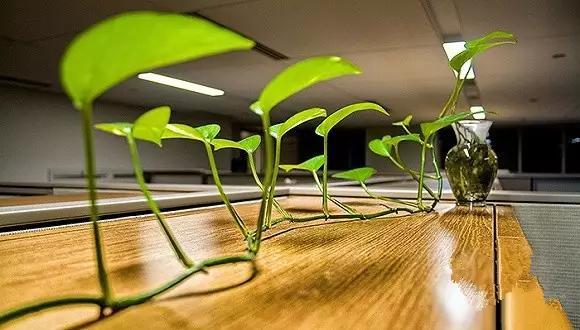 廈門辦公裝修設(shè)計(jì)公司_廈門辦公室裝修公司_廈門辦公室裝修設(shè)計(jì)