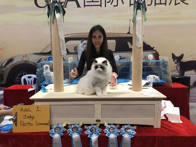 廈門家裝博覽會_廈門家裝博覽會2023時間表_家裝博覽會2023