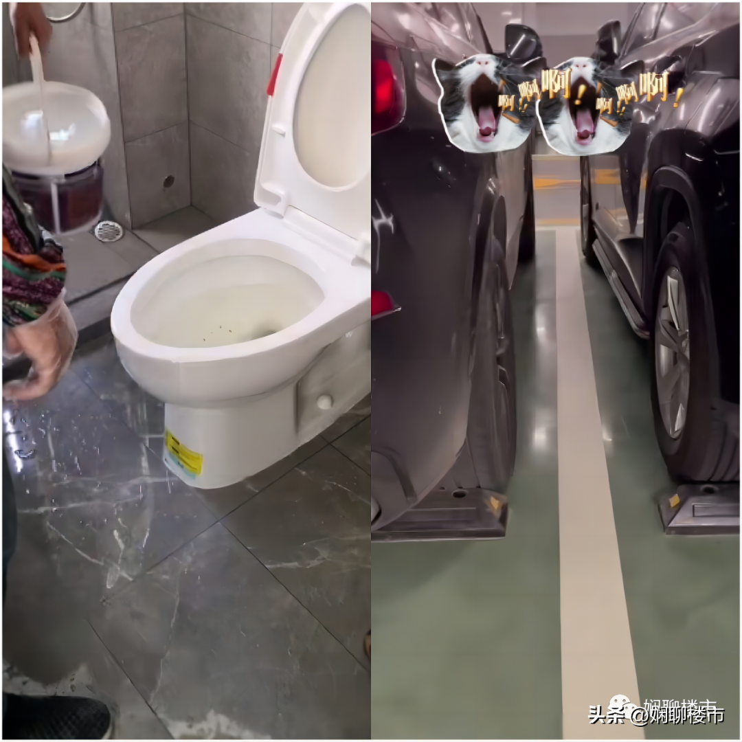 廈門精裝房政策_(dá)廈門精裝房裝修_廈門精裝修樓盤