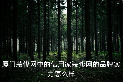 廈門裝修網(wǎng)中的信用家裝修網(wǎng)的品牌實力怎么樣