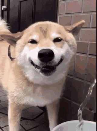 廈門復(fù)式樓裝修_廈門裝修樓復(fù)式樓價格_廈門復(fù)式房