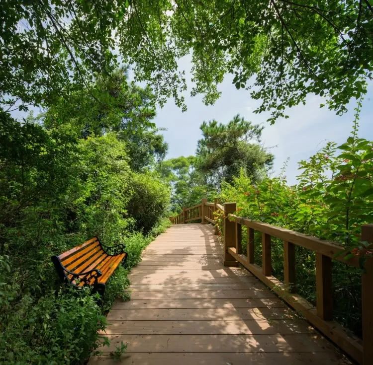 廈門周末裝修投訴電話_廈門周末裝修_廈門周末裝修時(shí)間國家規(guī)定