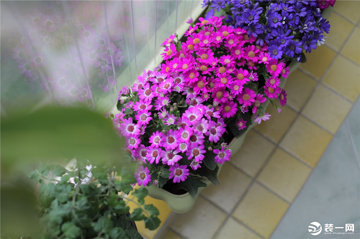 廈門(mén)陽(yáng)臺(tái)裝修改造_陽(yáng)臺(tái)改造大概費(fèi)用_想改造一下陽(yáng)臺(tái)得找誰(shuí)