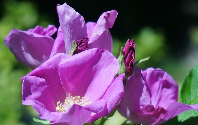 廈門(mén)裝修價(jià)格怎么算_廈門(mén)裝修價(jià)格一覽_廈門(mén)裝修+價(jià)格