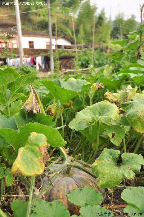 廈門辦公室裝修設(shè)計(jì)_廈門辦公裝修室設(shè)計(jì)公司_廈門辦公裝修室設(shè)計(jì)公司排名