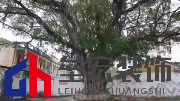 期頤華僑反哺故鄉(xiāng)桑梓情深，“夢(mèng)改”助力潮州大吳村再綻魅力