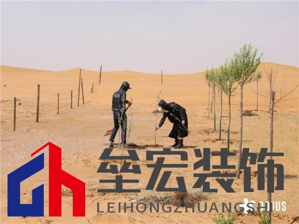 DOJUS 度假式家私：重構(gòu)家居消費場景，定義“日常，就度假”的美學革命